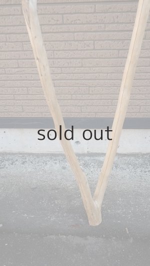 画像2: 大型　幹