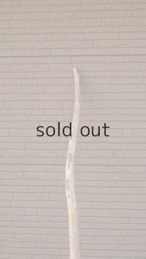 画像10: 大型　幹