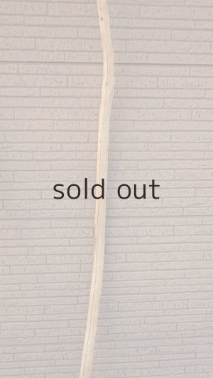 画像7: 大型　幹