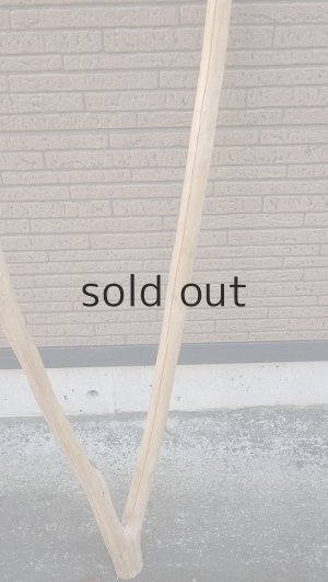 画像3: 大型　幹