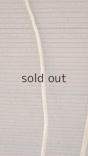 画像4: 大型　幹