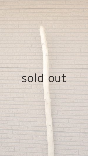 画像4: 棒流木・長尺