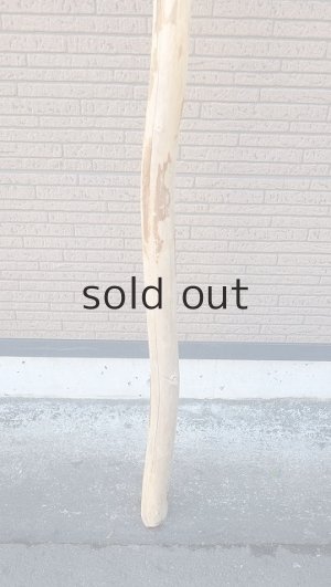 画像2: 棒流木・長尺