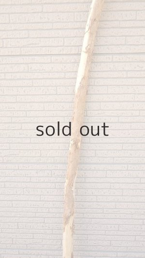 画像3: 棒流木・長尺