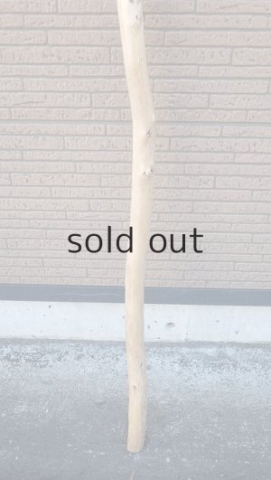 画像2: 棒流木・長尺