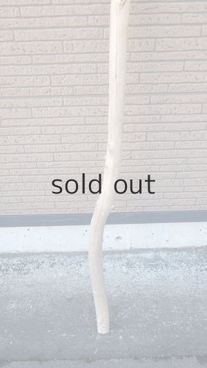 画像2: 棒流木・長尺