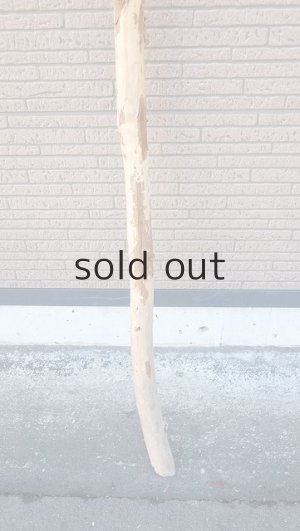 画像2: 棒流木・長尺