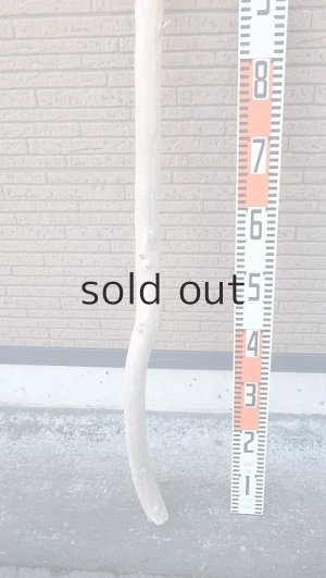 画像5: 棒流木・長尺