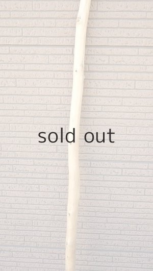 画像3: 棒流木・長尺