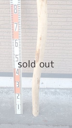 画像5: 棒流木・長尺