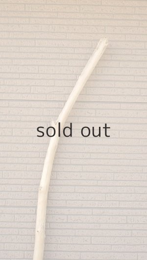 画像4: 棒流木・長尺