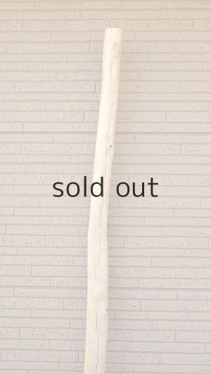 画像4: 棒流木・長尺