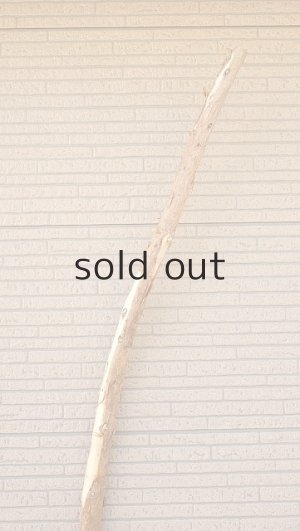 画像4: 棒流木・長尺