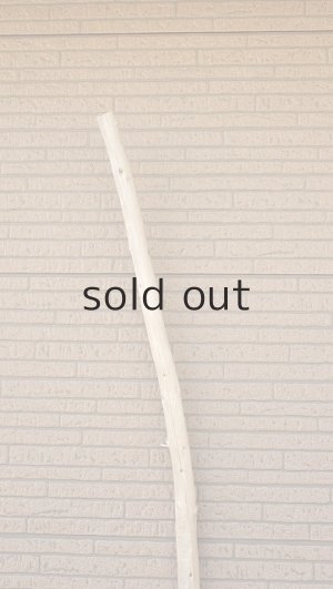 画像4: 棒流木・長尺