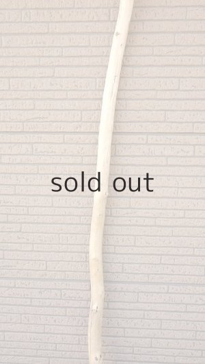 画像3: 棒流木・長尺