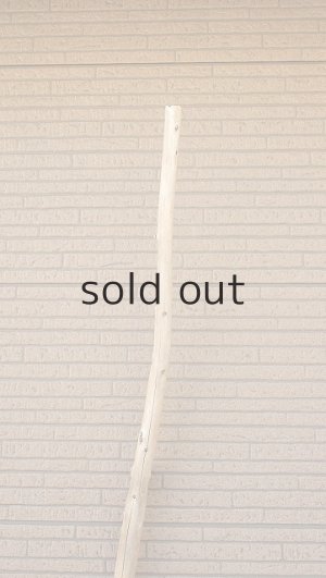 画像4: 棒流木・長尺