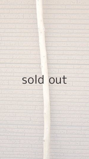 画像3: 棒流木・長尺