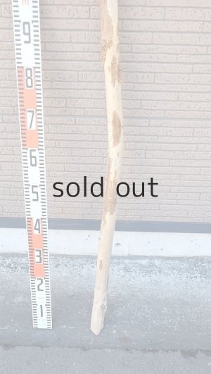 画像5: 棒流木・長尺