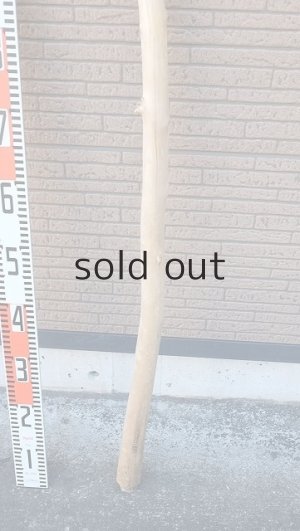 画像5: 棒流木・長尺