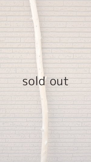 画像3: 棒流木・長尺