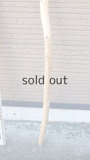 画像5: 棒流木・長尺