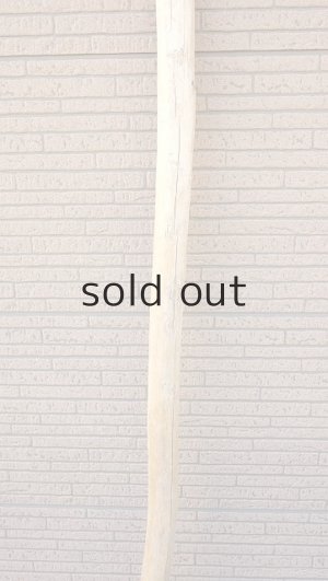 画像3: 棒流木・長尺