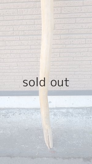 画像2: 棒流木・長尺