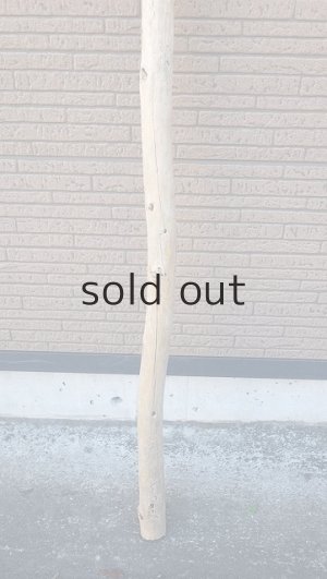 画像2: 棒流木・長尺