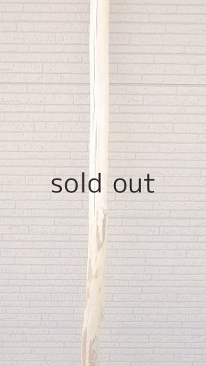 画像3: 棒流木・長尺