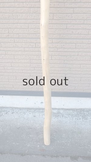 画像2: 棒流木・長尺