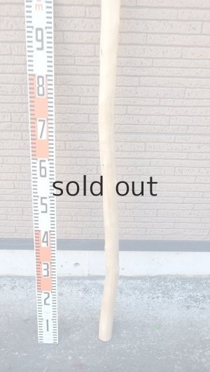 画像5: 棒流木・長尺