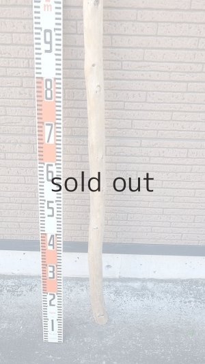 画像5: 棒流木・長尺