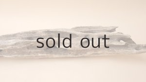 画像6: 変形流木