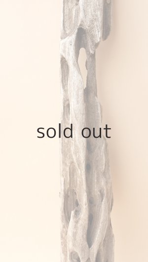 画像3: 変形流木