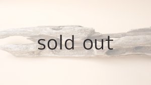 画像5: 変形流木