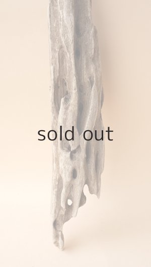 画像2: 変形流木