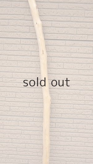 画像3: 棒流木・長尺