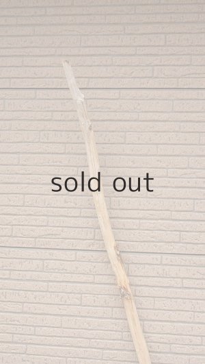 画像4: 棒流木・長尺