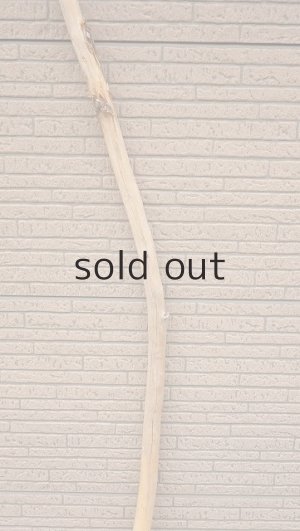 画像3: 棒流木・長尺