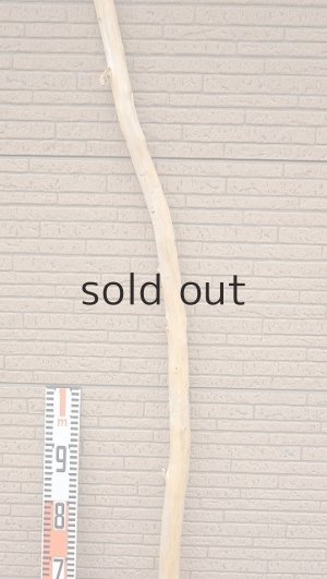 画像7: 棒流木・長尺