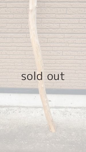 画像2: 棒流木・長尺