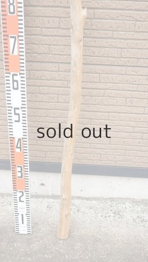 画像6: 棒流木・長尺