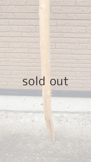 画像2: 棒流木・長尺