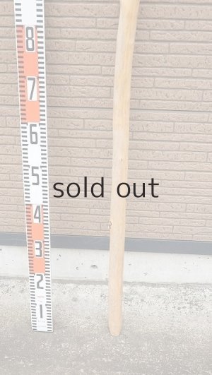 画像6: 棒流木・長尺