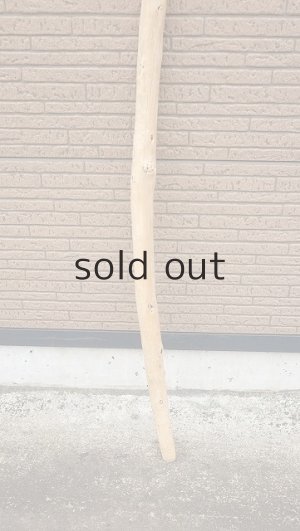 画像2: 棒流木・長尺