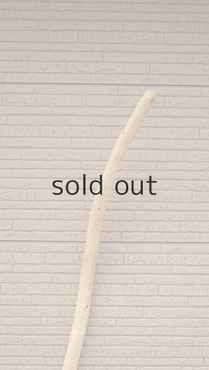 画像4: 棒流木・長尺