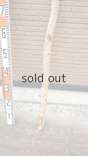 画像5: 棒流木・長尺