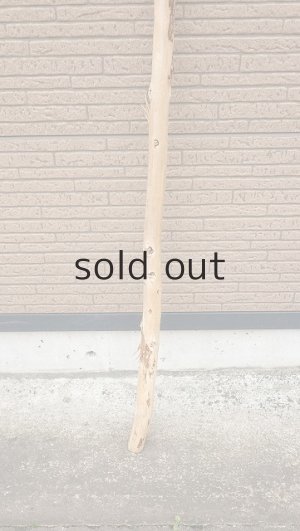 画像2: 棒流木・長尺