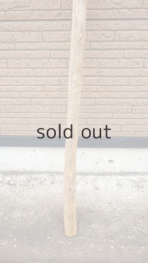 画像2: 棒流木・長尺