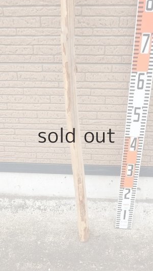 画像6: 棒流木・長尺